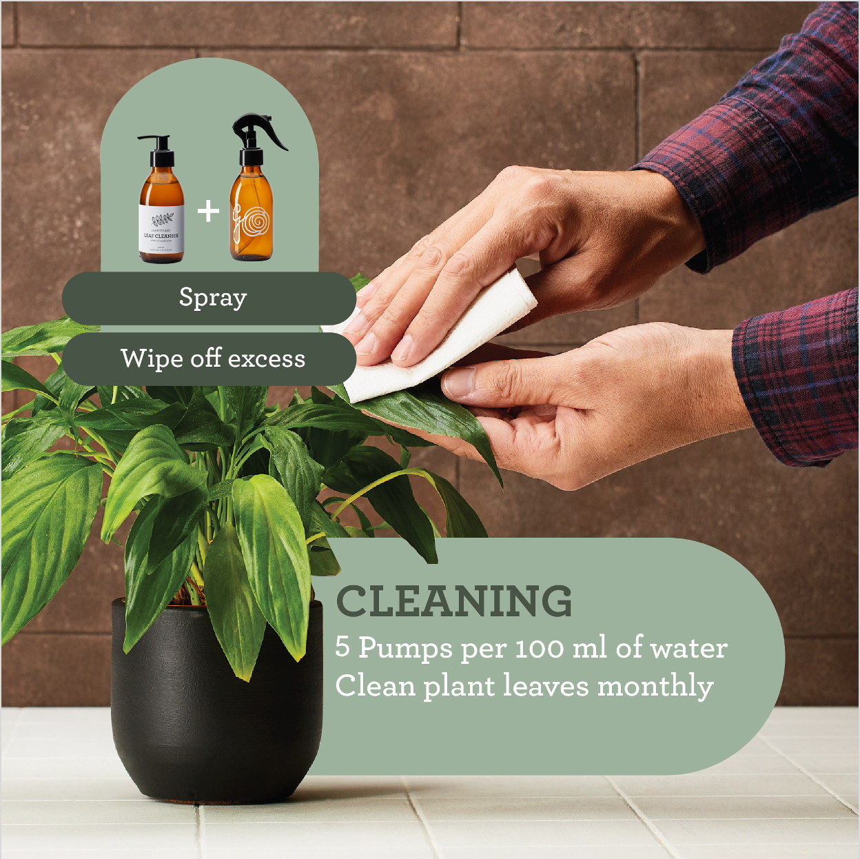 Generosa Ultimate Plant Care Bundle - Complete Eco-Friendly Kit for Thriving Plants | Plant Food 50ml, Leaf Cleanser 200ml, Leaf Protector 50ml, Soil Booster 1000ml, Soil Topper 1000ml, Soil Freshener 2000ml, Plant Mister 200ml, Caring Mat 60x70cm