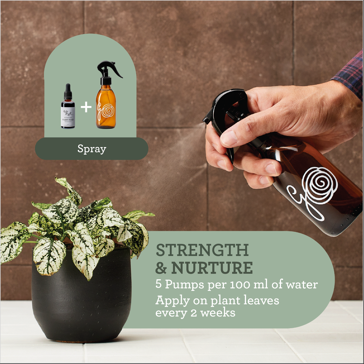 Generosa Strength & Protection Bundle - Natural Plant Care Kit for Strong, Healthy Plants | Plant Food 50ml, Leaf Cleanser 200ml, Leaf Protector 50ml, Plant Mister 200ml