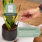 Generosa Plant Parent Essential Bundle - Complete Plant Care Kit for Thriving Plants | Plant Food 50ml, Leaf Cleanser 200ml, Soil Booster 1000ml, Plant Mister 200ml