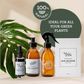 Generosa Plant Parent Essential Bundle - Complete Plant Care Kit for Thriving Plants | Plant Food 50ml, Leaf Cleanser 200ml, Soil Booster 1000ml, Plant Mister 200ml