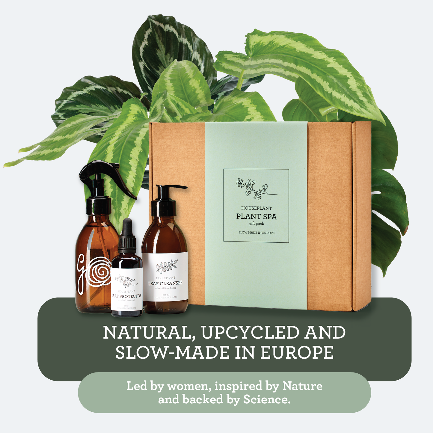 Set de Regalo Generosa Plant Spa - Protección y Limpieza de Plantas | Kit de aceite de neem de 50 ml y jabón para plantas de 200 ml | Regalo ecológico para principiantes y amantes de las plantas de interior